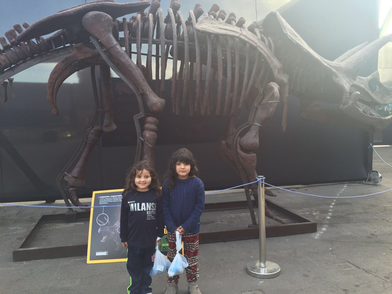 Niños, niñas y adolescentes disfrutan de exhibición de dinosaurios en Antofagasta