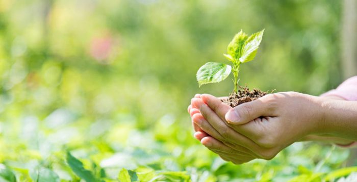 Consejo de DDHH de la ONU declara que tener un medio ambiente limpio es un derecho humano